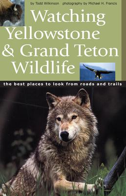 Watching Yellowstone & Grand Teton Wildlife