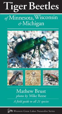 Tiger Beetles of Minnesota, Wisconsin & Michigan Subscription