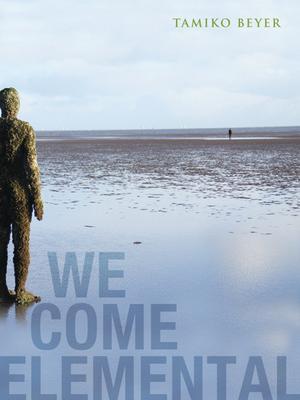 We Come Elemental Subscription