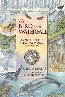 The Bird in the Waterfall: Exploring the Wonders of Water