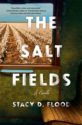 The Salt Fields