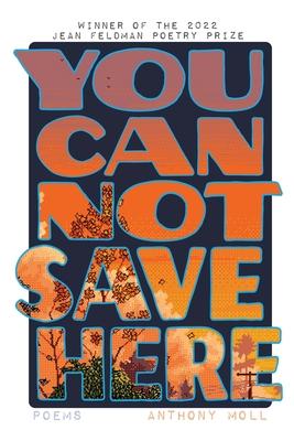 You Cannot Save Here