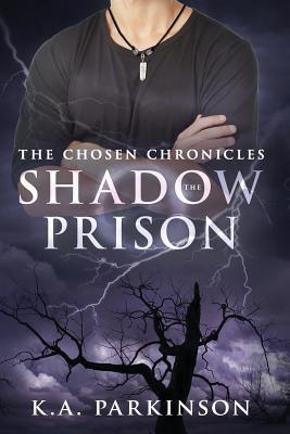 The Shadow Prison Subscription