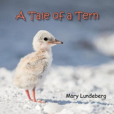 A Tale of a Tern