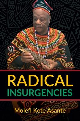 Radical Insurgencies