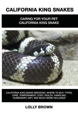 California King Snakes: California King Snake breeding, where to buy, types, care, temperament, cost, health, handling, husbandry, diet, and m