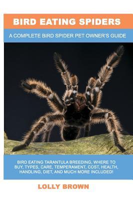 Bird Eating Spiders: Bird Eating Tarantula breeding, where to buy, types, care, temperament, cost, health, handling, diet, and much more in