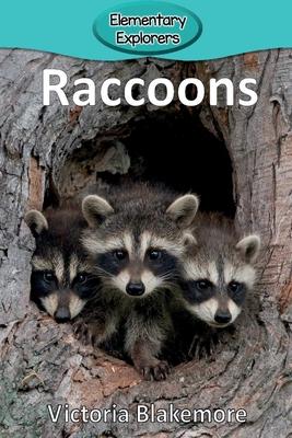 Raccoons