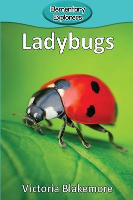 Ladybugs Subscription
