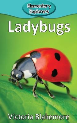 Ladybugs