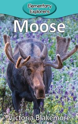 Moose