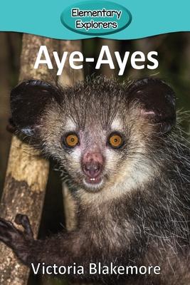 Aye-Ayes