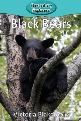 Black Bears