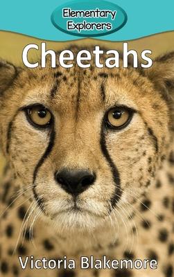 Cheetahs