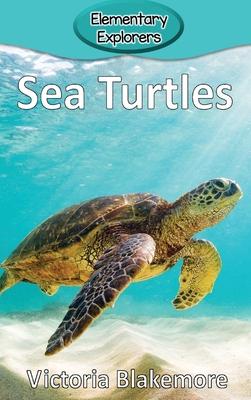 Sea Turtles