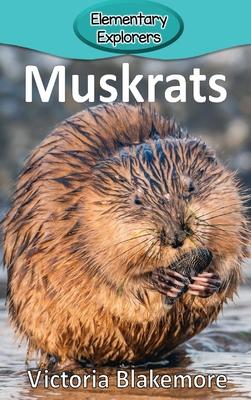 Muskrats