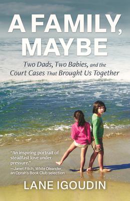 A Family, Maybe: Two Dads, Two Babies, and the Court Cases That Brought Us Together