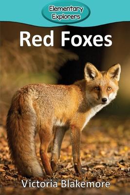 Red Foxes