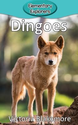 Dingoes