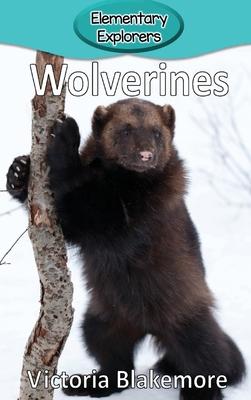 Wolverines