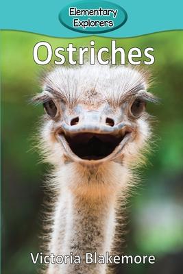 Ostriches