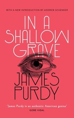 In a Shallow Grave (Valancourt 20th Century Classics)