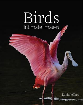 Birds: Intimate Images Subscription