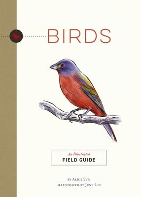 Birds: An Illustrated Field Guide