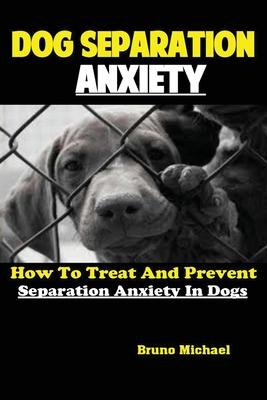 Dog Separation Anxiety: How To Treat And Prevent Separation Anxiety In Dogs Subscription