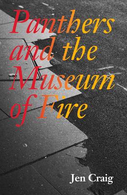 Panthers and the Museum of Fire