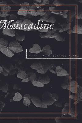 Muscadine