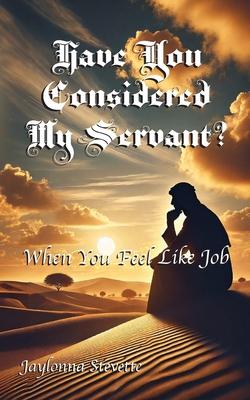 Have You Considered My Servant?: When You Feel Like Job