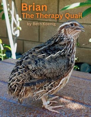 Brian The Therapy Quail