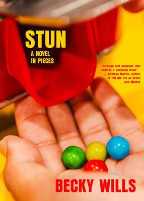 Stun: A Novel in Pieces Subscription