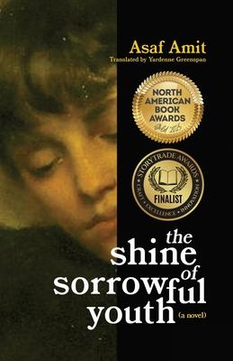 The shine of sorrowful youth Subscription