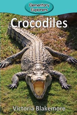 Crocodiles Subscription