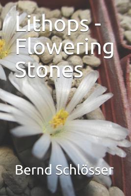 Lithops - Flowering Stones