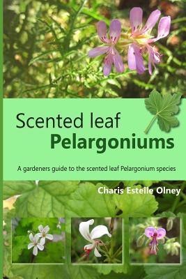 Scented leaf pelargoniums: A gardeners guide to the scented leaf pelargonium species