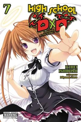 High School DXD, Vol. 7 (Light Novel)