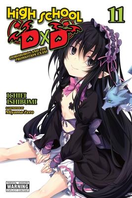 High School DXD, Vol. 11 (Light Novel): Volume 11