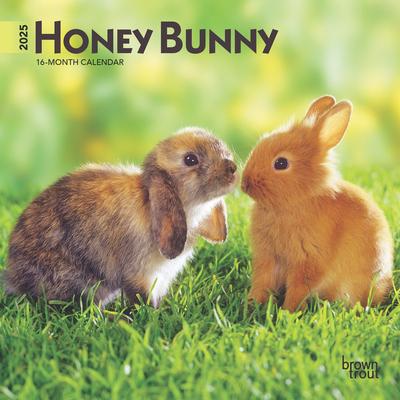 Honey Bunny 2025 7 X 14 Inch Monthly Mini Wall Calendar Browntrout Domestic Small Cute Animals