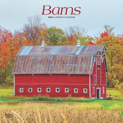 Barns 2025 12 X 24 Inch Monthly Square Wall Calendar Plastic-Free