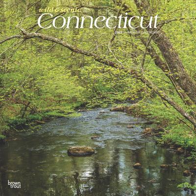 Connecticut Wild & Scenic 2025 12 X 24 Inch Monthly Square Wall Calendar Plastic-Free