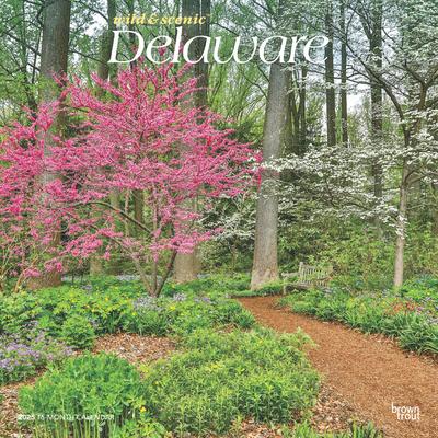 Delaware Wild & Scenic 2025 12 X 24 Inch Monthly Square Wall Calendar Plastic-Free