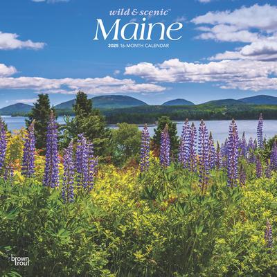 Maine Wild & Scenic 2025 12 X 24 Inch Monthly Square Wall Calendar Plastic-Free