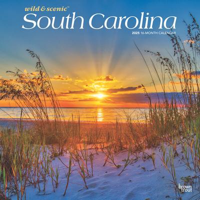 South Carolina Wild & Scenic 2025 12 X 24 Inch Monthly Square Wall Calendar Plastic-Free