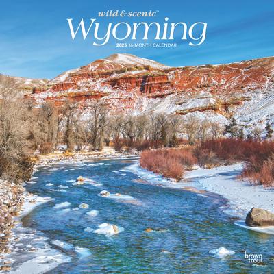 Wyoming Wild & Scenic 2025 12 X 24 Inch Monthly Square Wall Calendar Plastic-Free