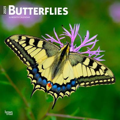 Butterflies 2025 12 X 24 Inch Monthly Square Wall Calendar Plastic-Free