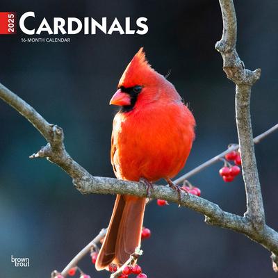 Cardinals 2025 12 X 24 Inch Monthly Square Wall Calendar Plastic-Free