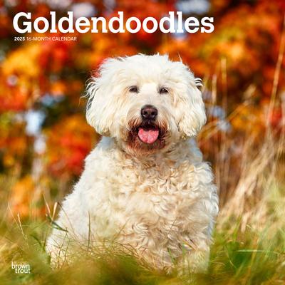 Goldendoodles 2025 12 X 24 Inch Monthly Square Wall Calendar Plastic-Free